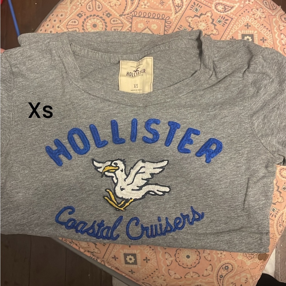 Hollister co. T shirt